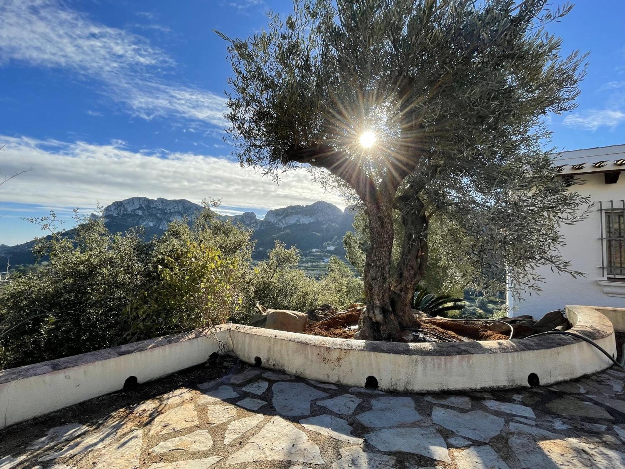 Villa Casa Dali Monte Pego 外观 照片